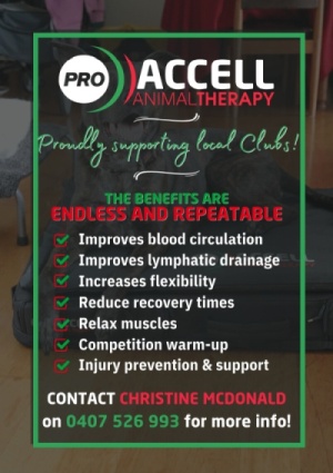 accell Generic Advertisement04